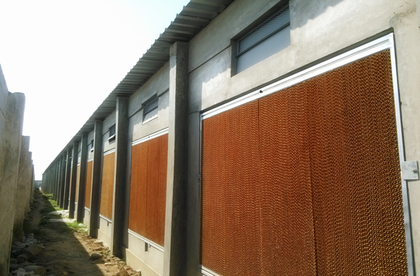 Henan Poul Tech Machinery Co.,Ltd.