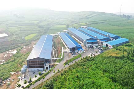 Henan Poul Tech Machinery Co.,Ltd.