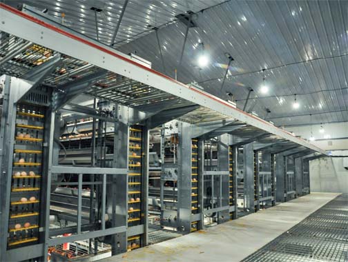 Henan Poul Tech Machinery Co.,Ltd.