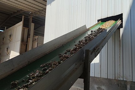 Chicken manure air drying equipment