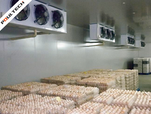 Egg refrigeration