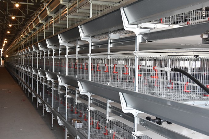 TechPro Pullet Cage