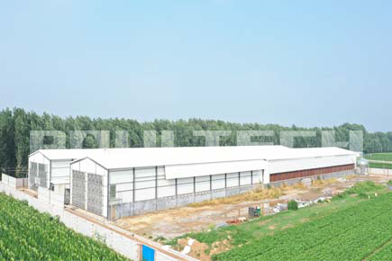 Breeder Project in Licheng City China