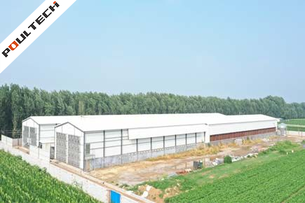 Breeder Project in Licheng City China