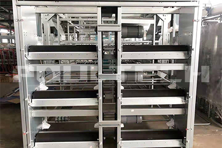 Broiler Project in Shanxi Province China