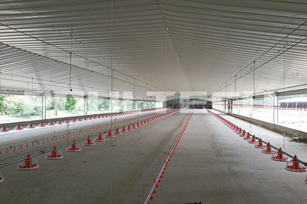 Mali-TechFloor Broiler System-25,200 Broilers