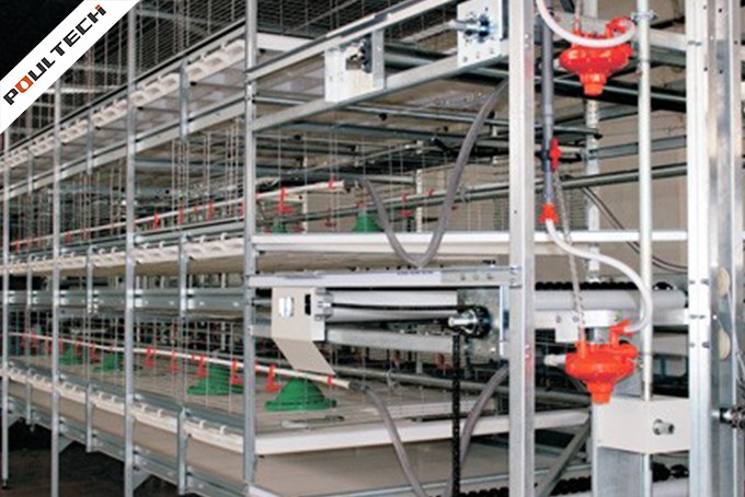 Broiler-Cage-With-Auto-Harvesting-System