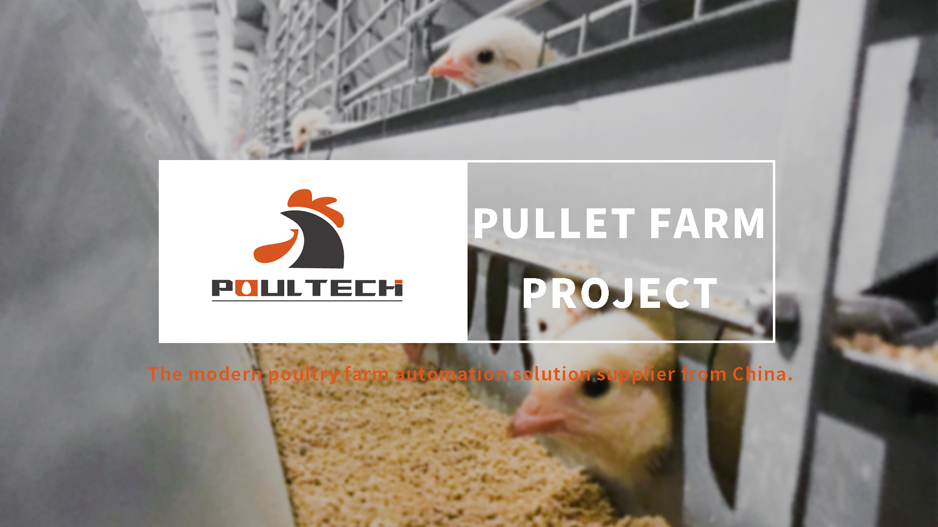 POUL TECH™ Pullet Project