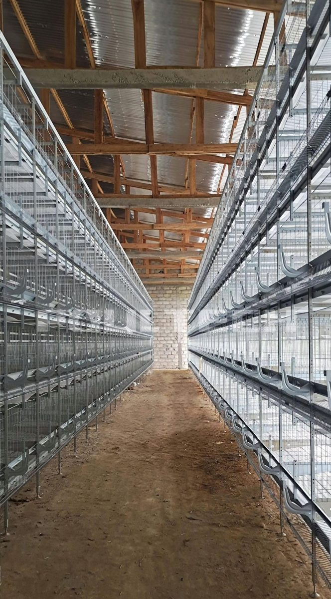 Cameroon layer cage is being installed