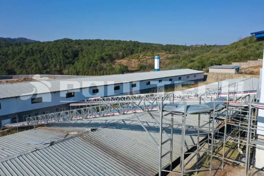 poultry farm project