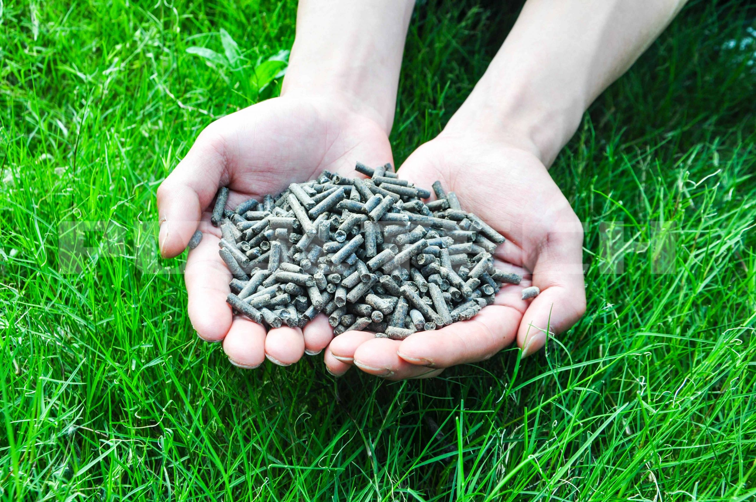 Poultry production: from poultry manure to pellets